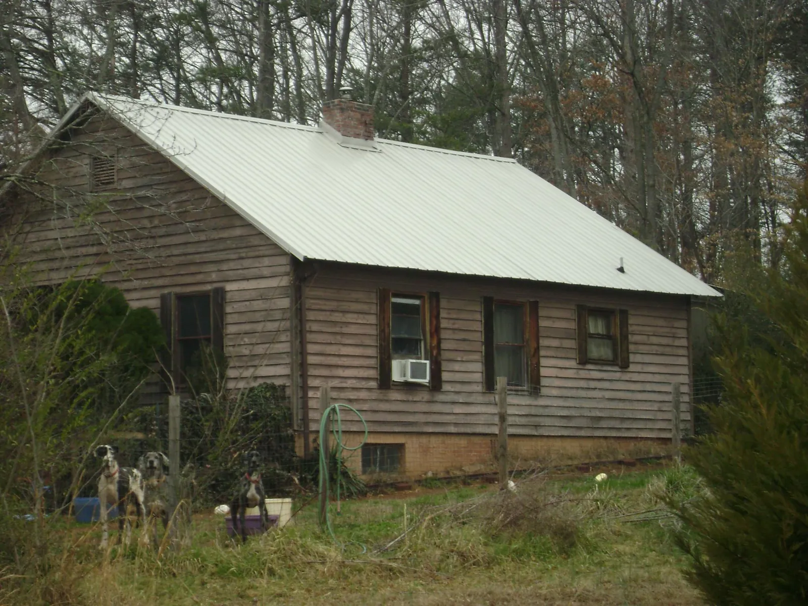 White metal roof on an old wood sided farmhouse, from a Metal Roof Installation job in Mount Shasta